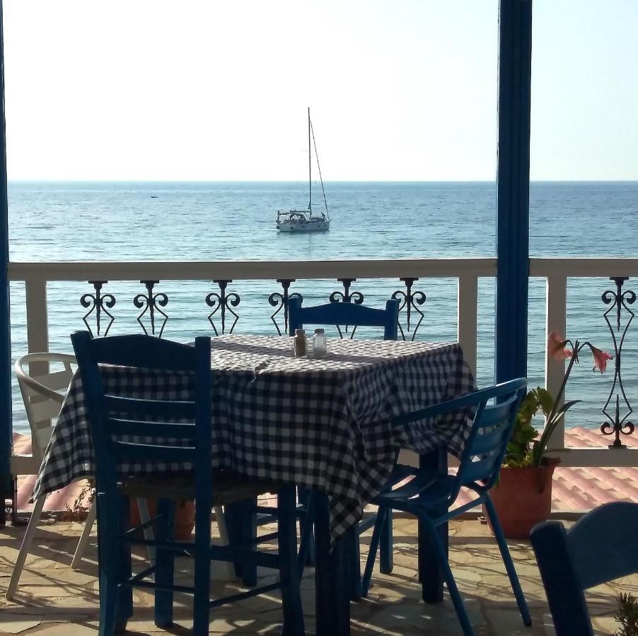 Svetlana & Michalis Oasis Hotel Agia Marina  Buitenkant foto